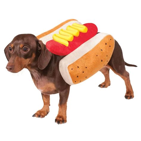 Hot Diggity Dog Costume by Rubies at BaxterBoo.com | Pet costumes, Dog ...