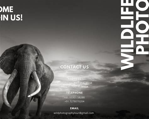 THE 5 BEST Places to Visit in Kaziranga National Park (2025)