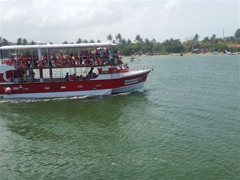 EAGLE EYE WHALE WATCHING (2026) All You Need to Know BEFORE You Go ...