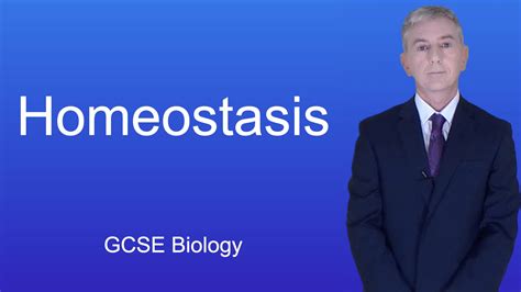 Homeostasis Free Science Lessons 的图像结果