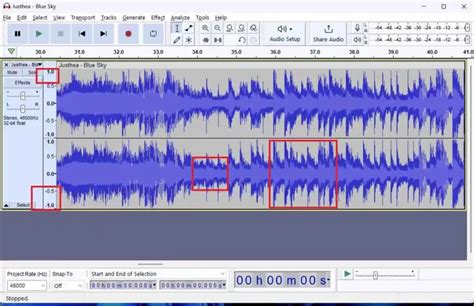 Using Audacity Software 的图像结果