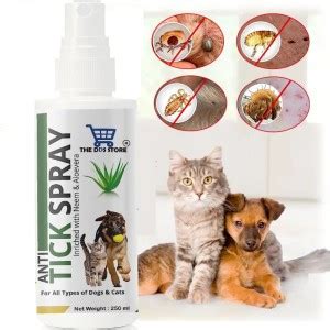 THE DDS STORE Flea Spray used as Cat Flea & Tick Treatment Flea and ...