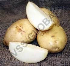 Wholesale Fresh Potato Exporter from Banaskantha, India
