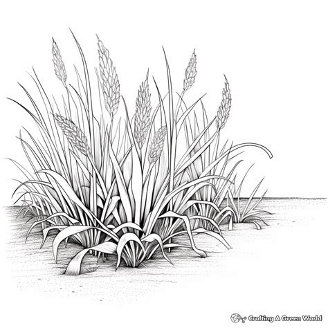 Grass Coloring Pages - Free & Printable!