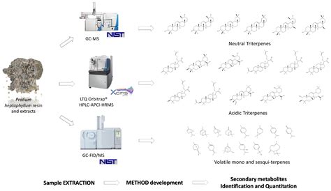 Extraction of High-Value Chemicals from Plants for Technical and ...