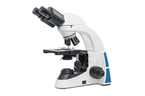 Image result for Compound Microscope Reviews