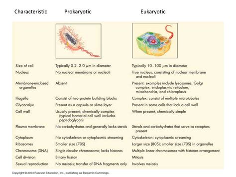 Cell Structure and Function 的图像结果