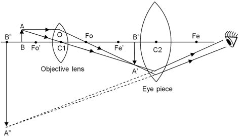 Image result for Compound Microscope Diagram Class 12