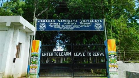 जवाहर नवोदय विद्यालय में रैगिंग... आठवीं के बच्चों को सीनियर्स ने ...