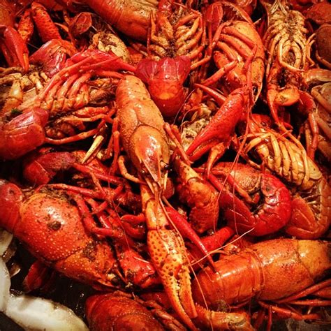 Crawfish Season in New Orleans 2025-2026 - Rove.me