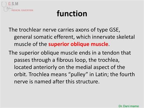 Image result for Trochlear Function