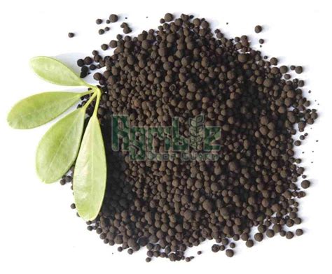 Humic Acid Granules Manufacturer, Supplier from Vapi
