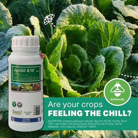 Protect plants from winter chills 🌿 Increase your plants' ability to cope with stresses like ...