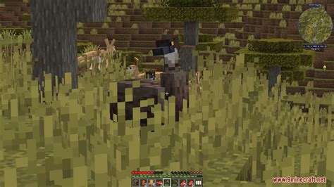 Image result for Modpack Create the World