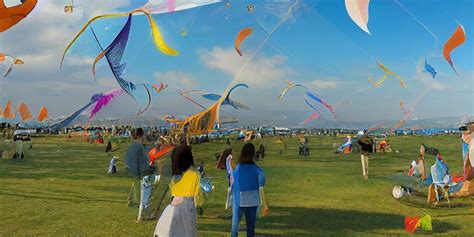 The Hobart International Kite Flying Festival, Mcvilly Drive,Hobart ...