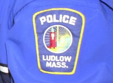 Girl, 7, visiting grandmother in Ludlow bitten at least twice by loose ...