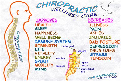 Chiropractic Techniques - Chiropractor