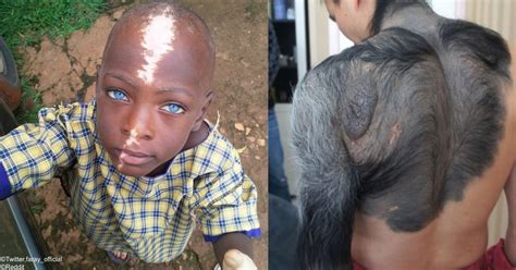 Beautiful Genetics 的图像结果