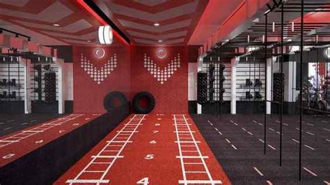 Innovative Gym Painting Ideas To Revamp Your Gym| Flat 25% OFF
