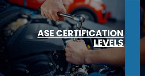 ASE Training 的图像结果