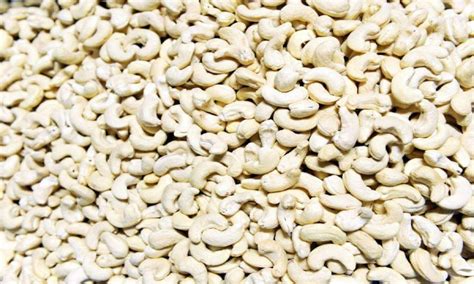 Famous Palasa cashew loses its sheen in Andhra Pradesh