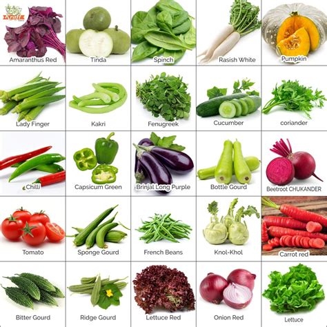 Kraft Seeds Fresh Vegetable Seeds for Home Gardening (25 Packets ,1gm ...