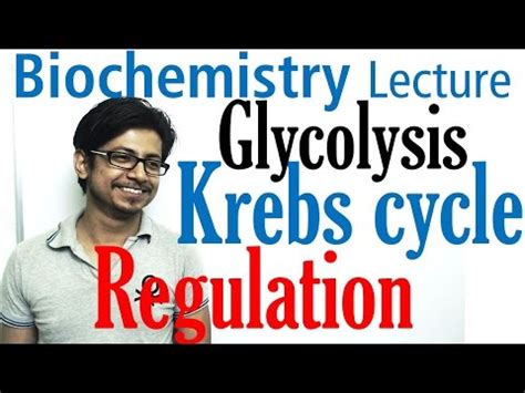 Regulation of Glycolysis and Krebs Cycle Video Lecture - Crash Course ...