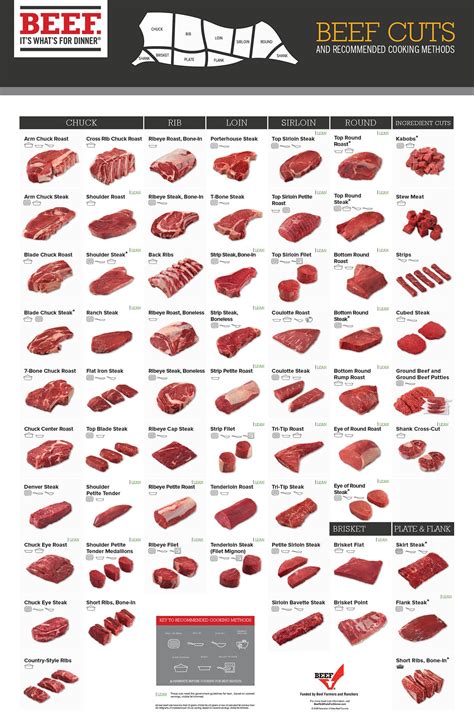 Beef 101: Everything you Need to Know | Ultimate Guide to Beef 🥩