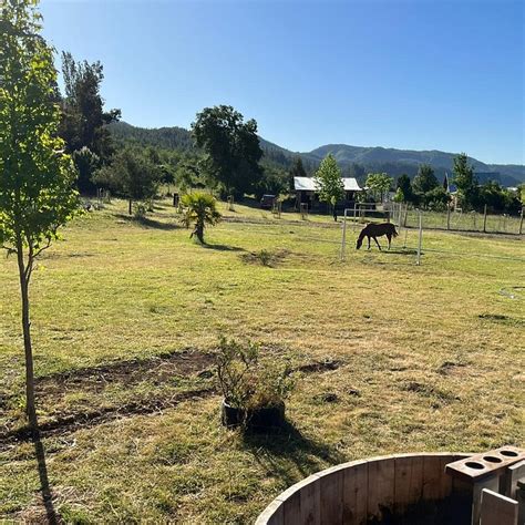 CABAÑAS & RESTAURANTE EL MANANTIAL DEL ARRIERO (Linares) - Inn Reviews ...