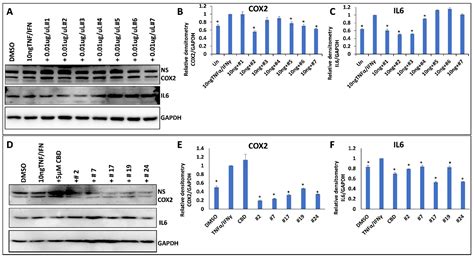 Analysis of Anti-Cancer and Anti-Inflammatory Properties of 25 High-THC ...