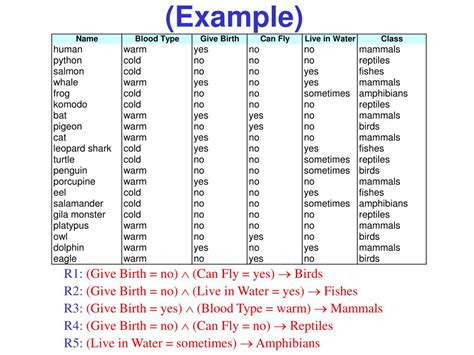 Image result for How Rule-Based Classifiers Problem