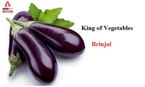 King of Vegetables | Brinjal | adda247 school