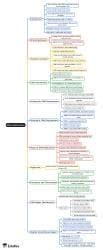 Mind Map: DNA Replication - Biochemistry - NEET PG PDF Download