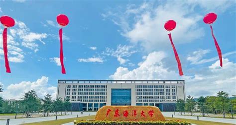 阳江市公立小学排名榜 阳江江城第一小学上榜第三环境出色 - 小学