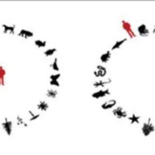 Nature and Human 的图像结果