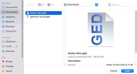 How to Open a GEDCOM File 的图像结果