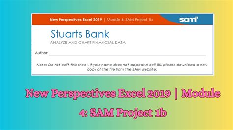 Excel 2019 Module 4 Sam Project 3B 的图像结果