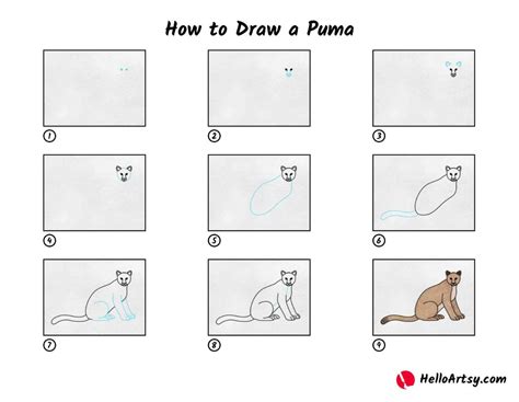 Image result for How to Draw Puma Logo in Python