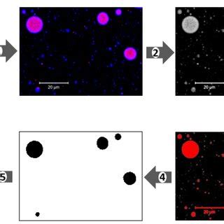 Digital Image Example 的图像结果