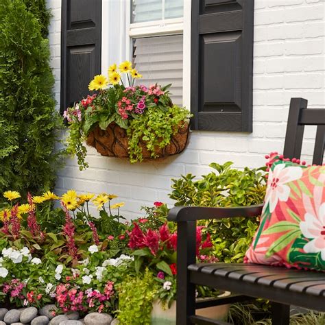 Lowe's Multicolor Calibrachoa in 1.56-Pint Pot at Lowes.com