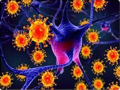 Hepatitis C transmission from mothers to babies can be prevented ...