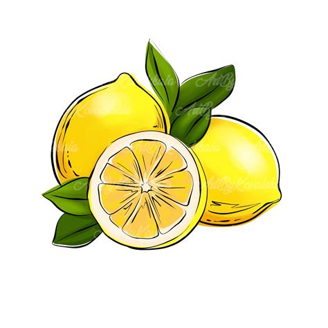 Lemon Clipart Wallpaper at Gwendolyn Samuels blog