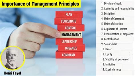 Management Principles 的图像结果