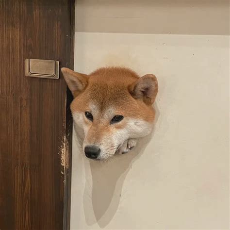 Rezultat imagine pentru Systemsettings