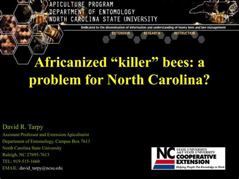 Africanized Killer Bees 的图像结果