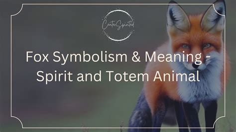 Fox Symbolism - What Does It Mean When You See a Fox?