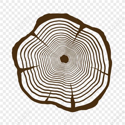 Image result for Tree Ring Cartoon