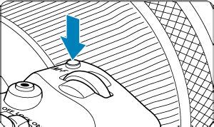 Image result for Canon R6 Back Button Tips