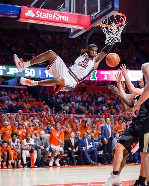 Illini men's basketball year in review - The Daily Illini