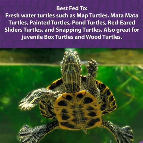 Mazuri® Aquatic Turtle Diet | Turtle Food for Freshwater Turtles